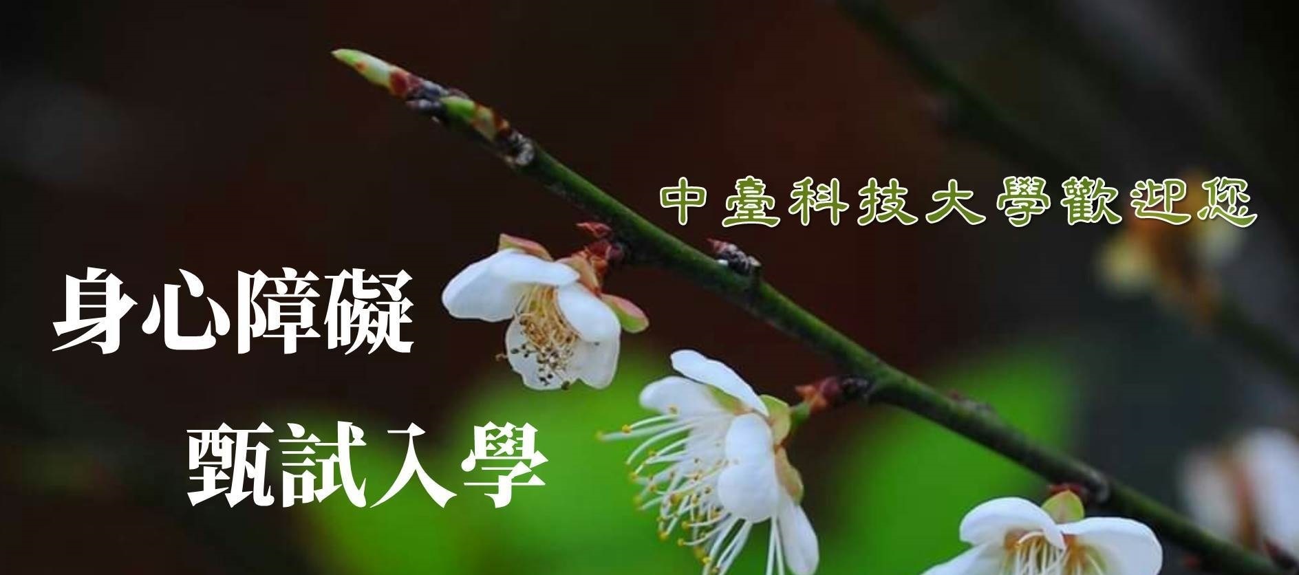 身心障礙生甄試